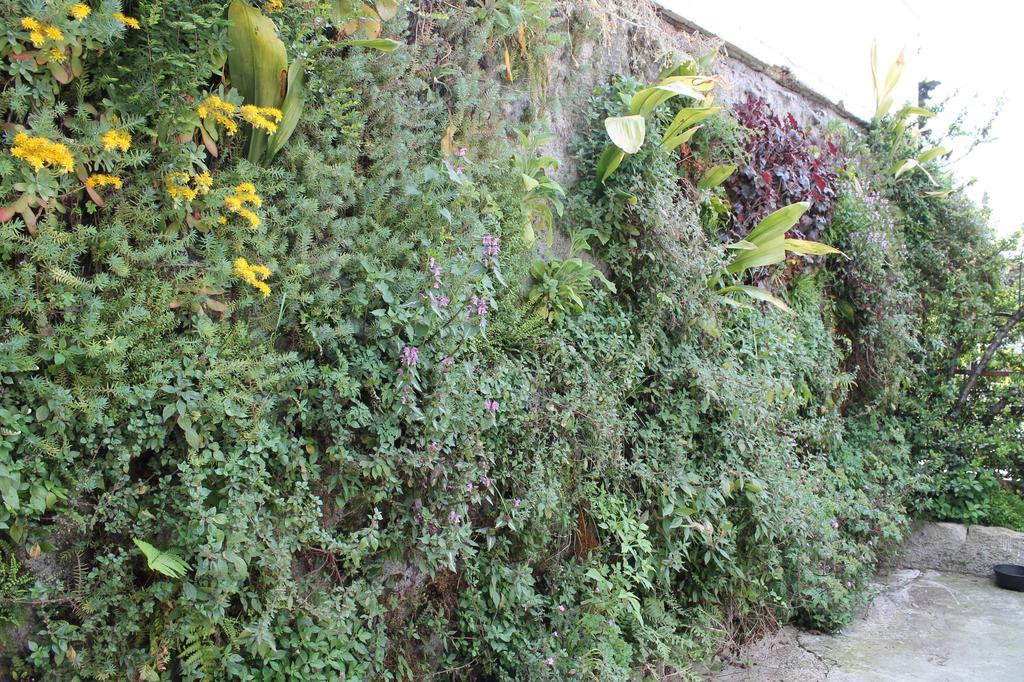 Toticevi Apartament